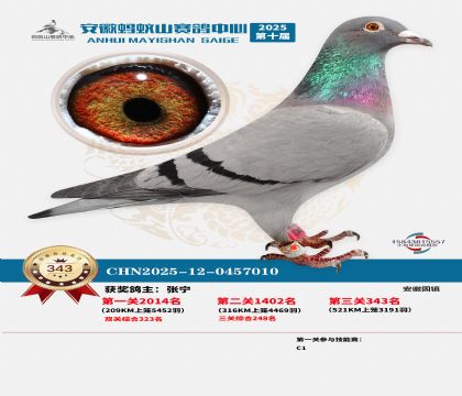 ��������ɽ����343��