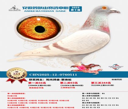 ��������ɽ����344��