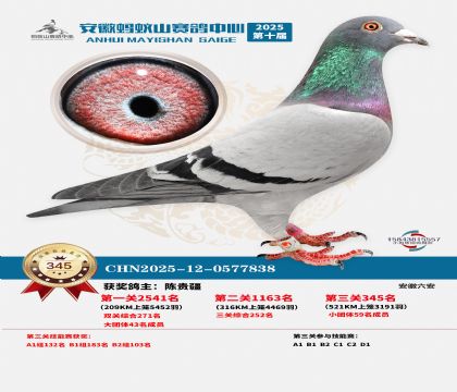 ��������ɽ����345��