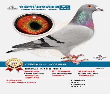 ��������ɽ����347��