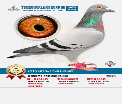 ��������ɽ����348��