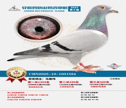 ��������ɽ����349��