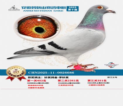 ��������ɽ����351��