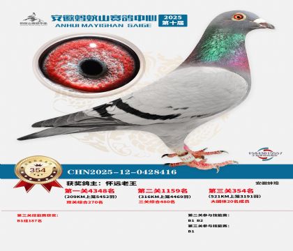 ��������ɽ����354��