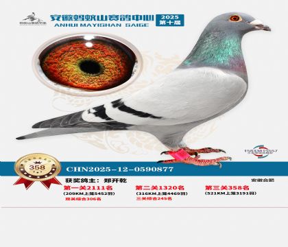 ��������ɽ����358��