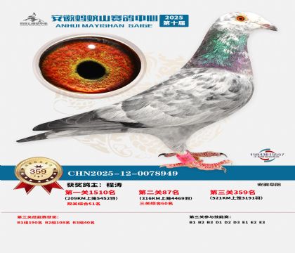 ��������ɽ����359��