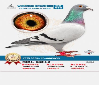 ��������ɽ����363��