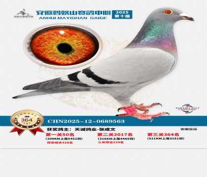 ��������ɽ����364��