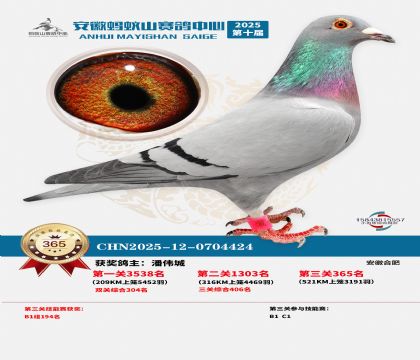 ��������ɽ����365��