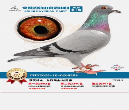 ��������ɽ����367��