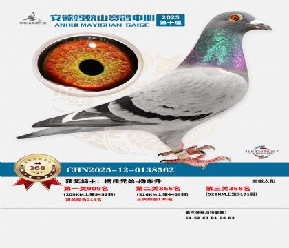 ��������ɽ����368��