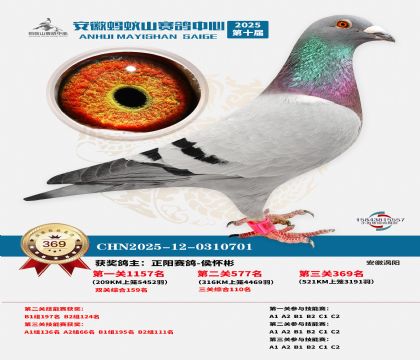 ��������ɽ����369��