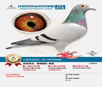 ��������ɽ����371��