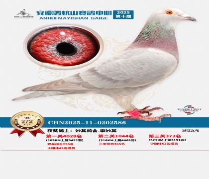 ��������ɽ����372��