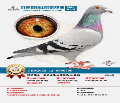 ��������ɽ����373��