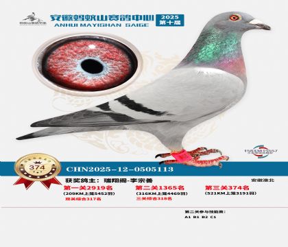 ��������ɽ����374��