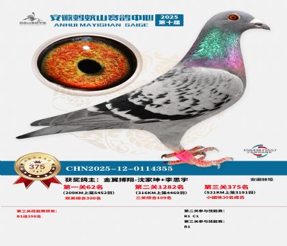 ��������ɽ����375��