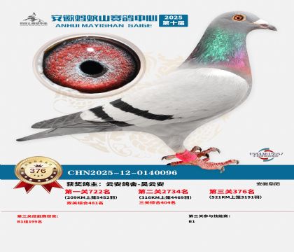 ��������ɽ����376��