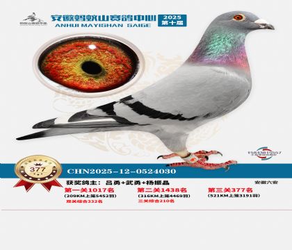 ��������ɽ����377��