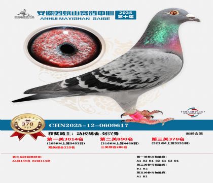 ��������ɽ����378��