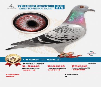 ��������ɽ����379��