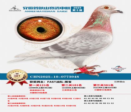 ��������ɽ����381��