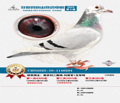 ��������ɽ����382��