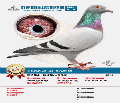 ��������ɽ����384��