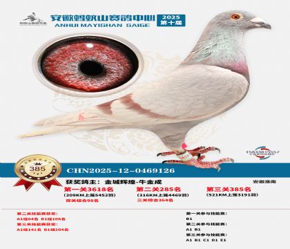 ��������ɽ����385��