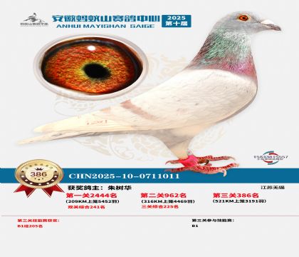 ��������ɽ����386��