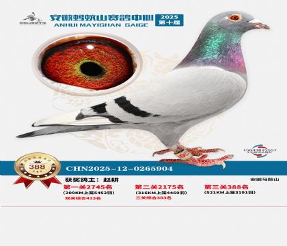 ��������ɽ����388��