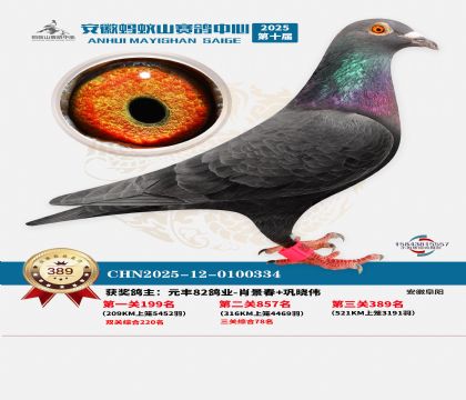 ��������ɽ����389��