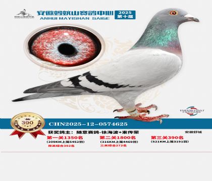 ��������ɽ����390��