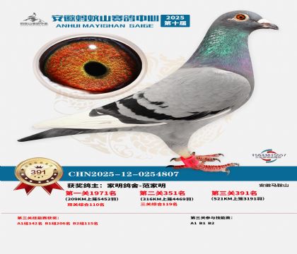 ��������ɽ����391��