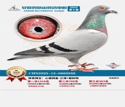 ��������ɽ����393��