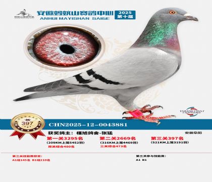 ��������ɽ����397��