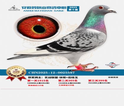 ��������ɽ����399��