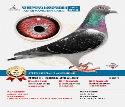 ��������ɽ����401��