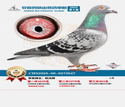 ��������ɽ����402��