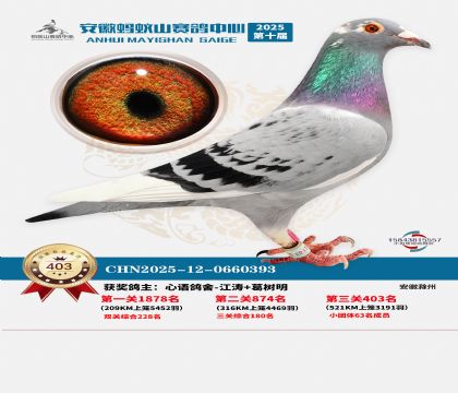 ��������ɽ����403��