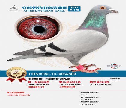 ��������ɽ����404��