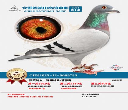 ��������ɽ����406��