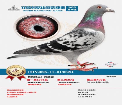 ��������ɽ����407��