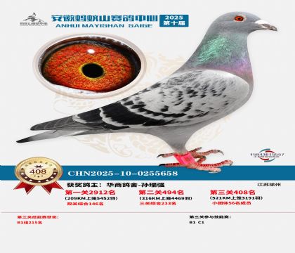 ��������ɽ����408��