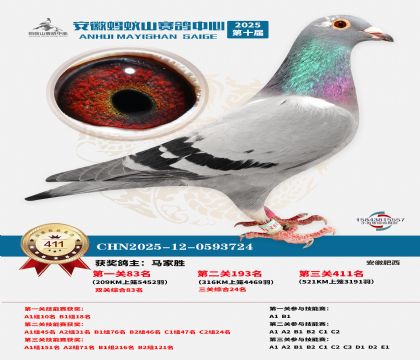 ��������ɽ����411��