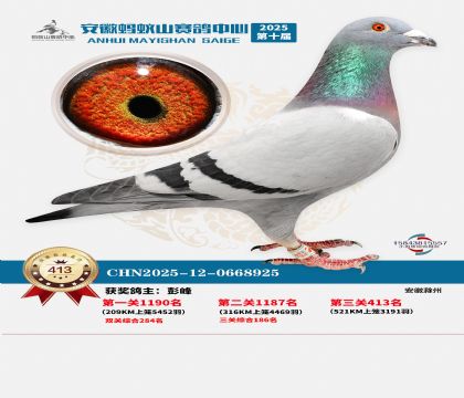 ��������ɽ����413��