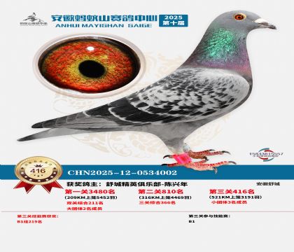 ��������ɽ����416��