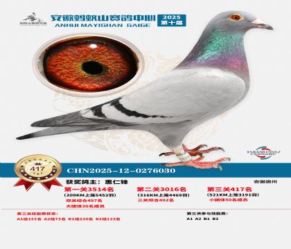 ��������ɽ����417��