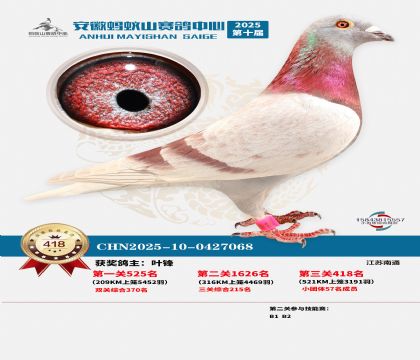 ��������ɽ����418��