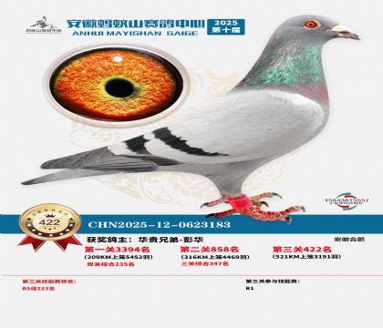 ��������ɽ����422��